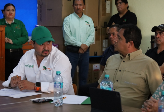 Reunión de trabajo para la determinación de...