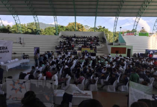 Feria Profesiográfica Organizada por el Representante...