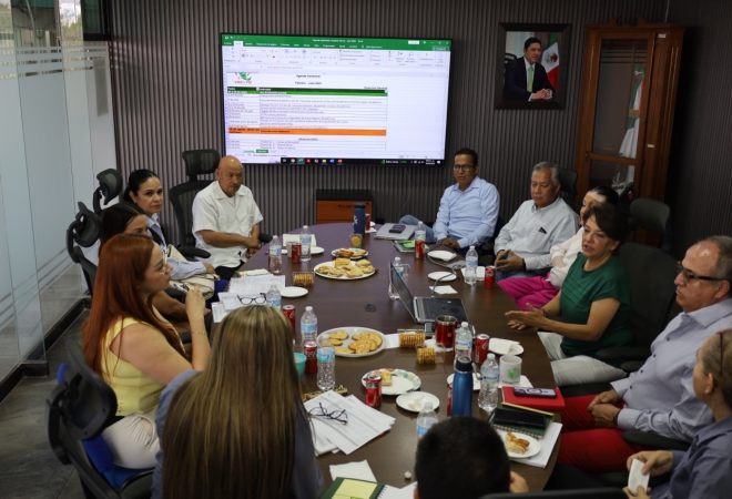  Reuniones institucionales con Coordinadores Académicos